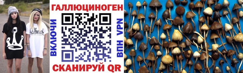 цены наркотик Кисловодск Галлюциногенные грибы ЛСД