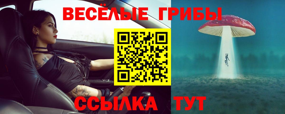 Галлюциногенные грибы MAGIC MUSHROOMS Кисловодск